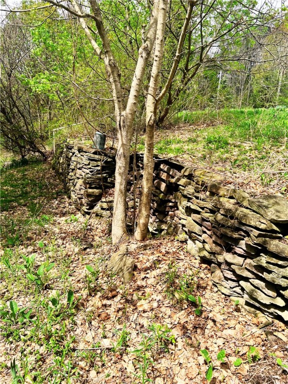 Sisson Hill Road, Unadilla, New York image 9