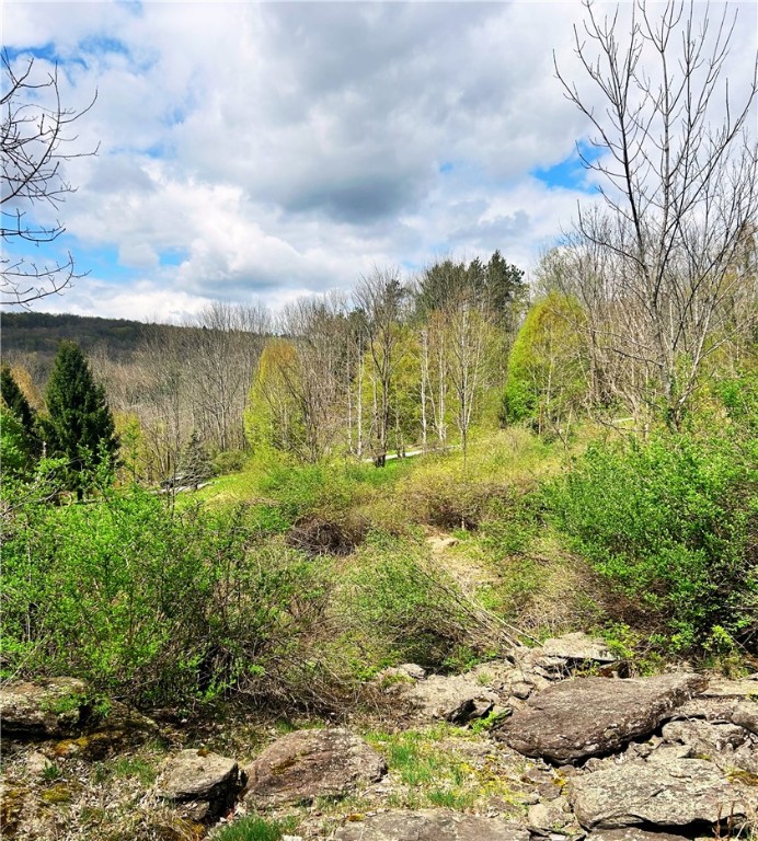 Sisson Hill Road, Unadilla, New York image 10