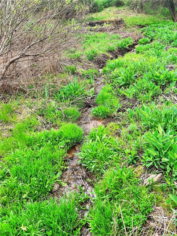Sisson Hill Road, Unadilla, New York image 12