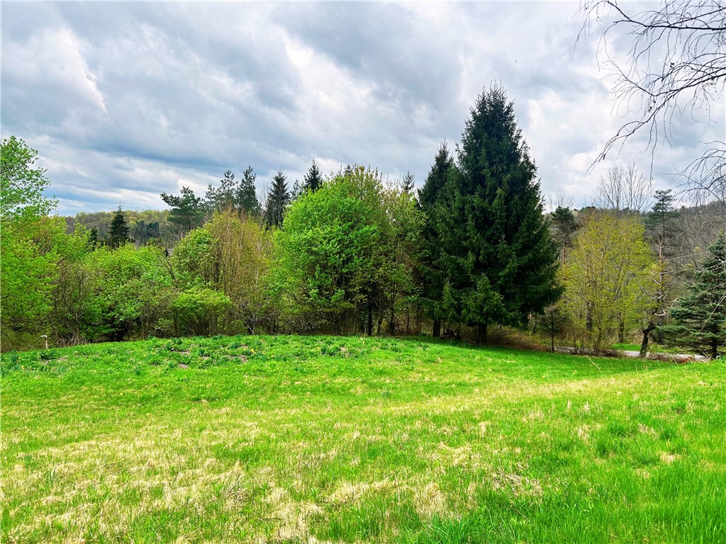 Sisson Hill Road, Unadilla, New York image 8