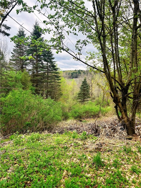 Sisson Hill Road, Unadilla, New York image 5