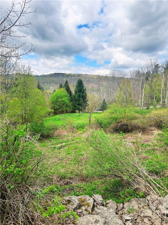 Sisson Hill Road, Unadilla, New York image 3
