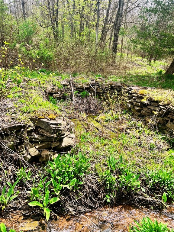 Sisson Hill Road, Unadilla, New York image 7
