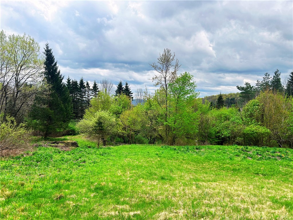 Sisson Hill Road, Unadilla, New York image 4