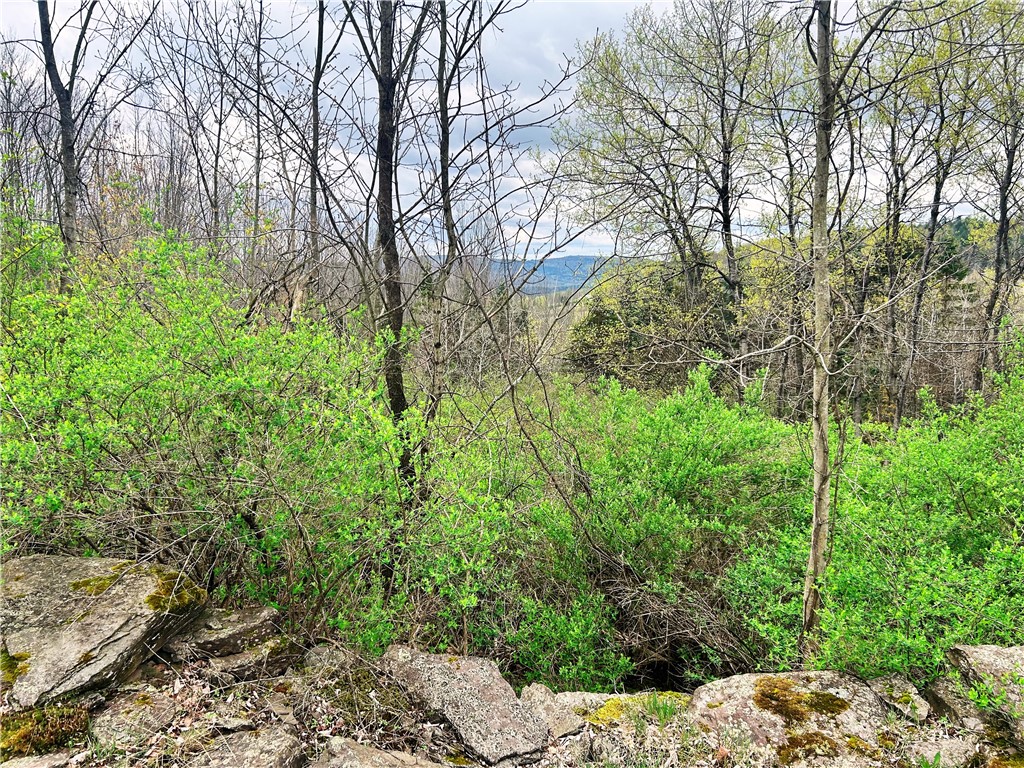 Sisson Hill Road, Unadilla, New York image 6