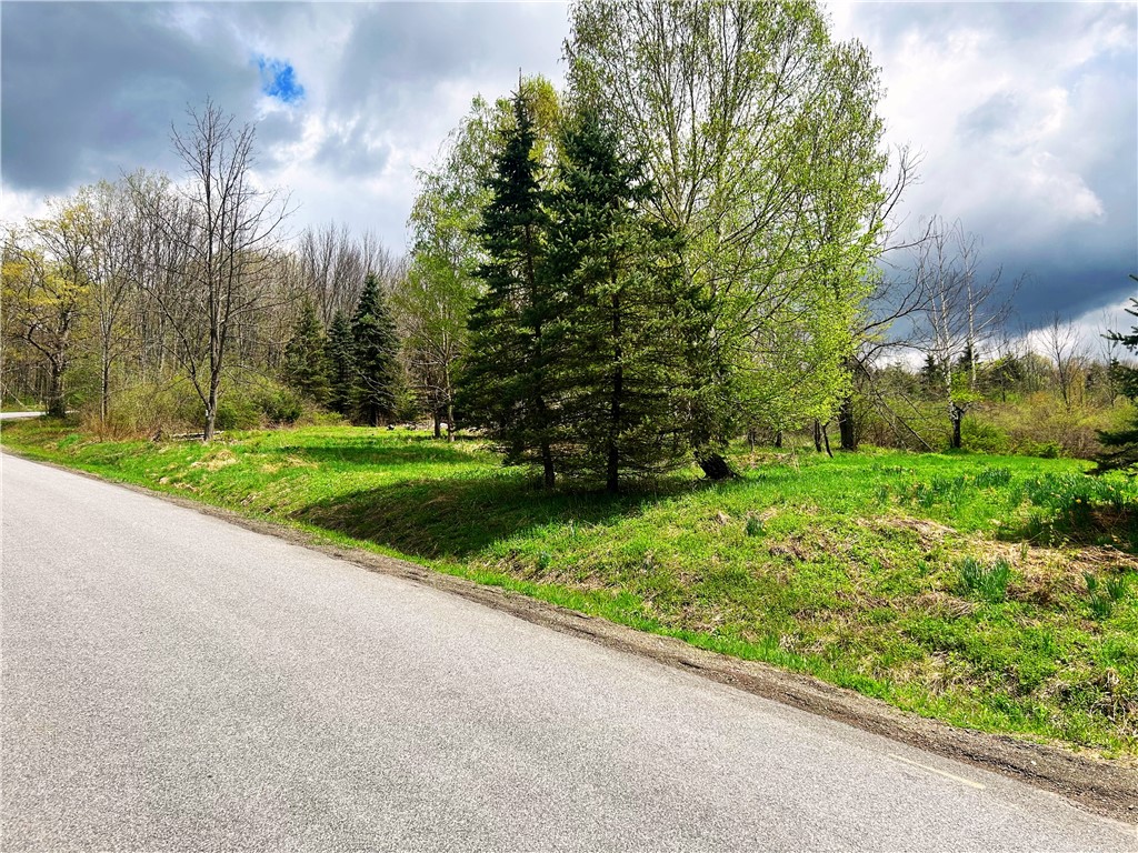 Sisson Hill Road, Unadilla, New York image 1
