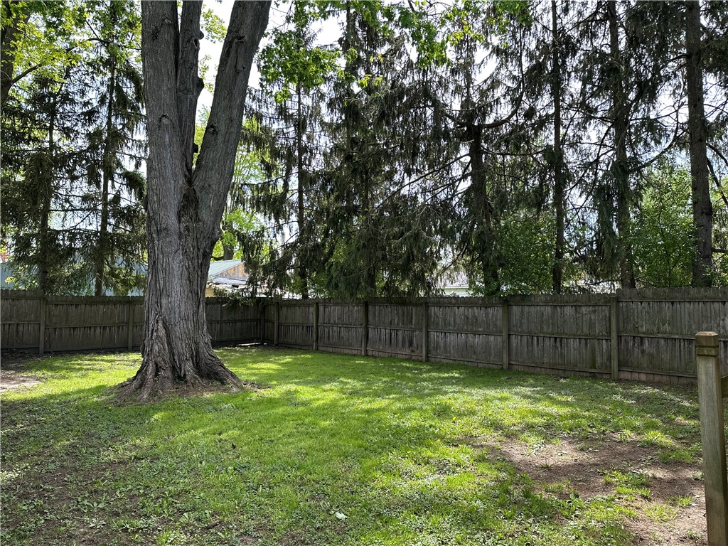 41 Porter Street, Seneca Falls, New York image 21