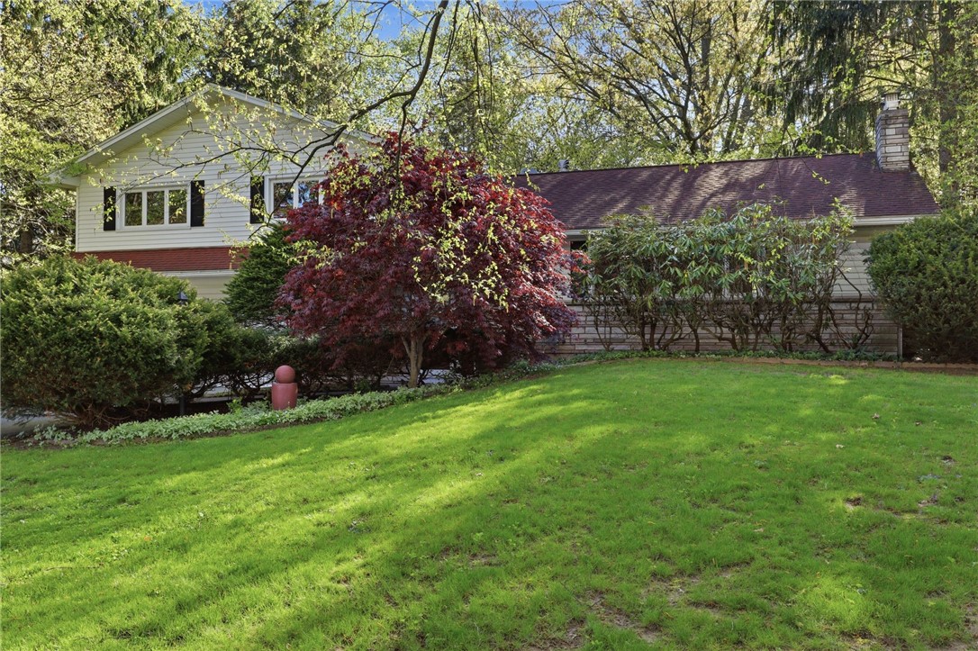 58 Landsdowne Lane