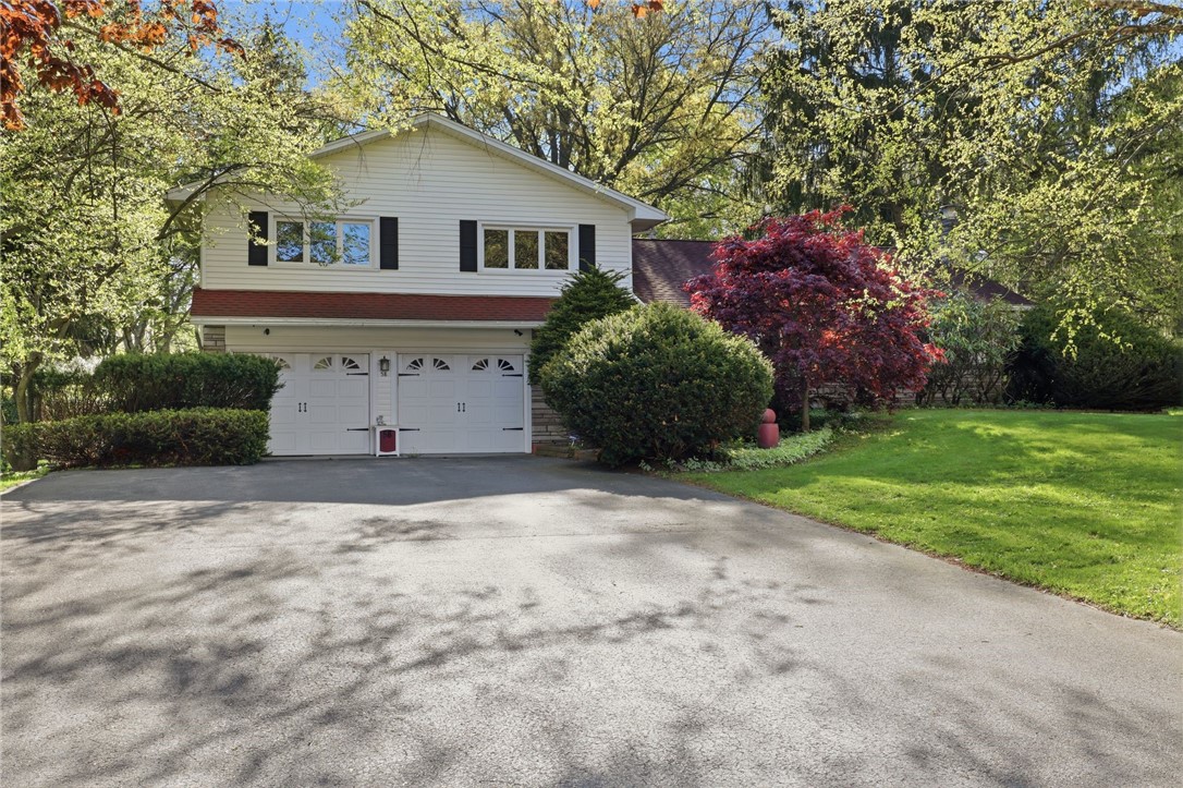 58 Landsdowne Lane