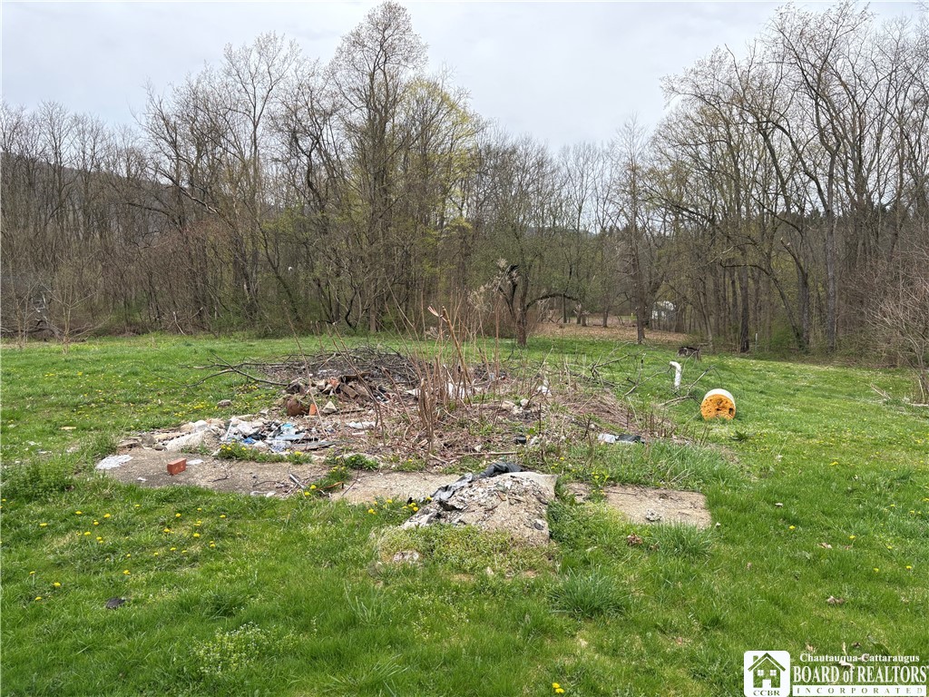 3787 Killbuck Road, Great Valley, New York image 15
