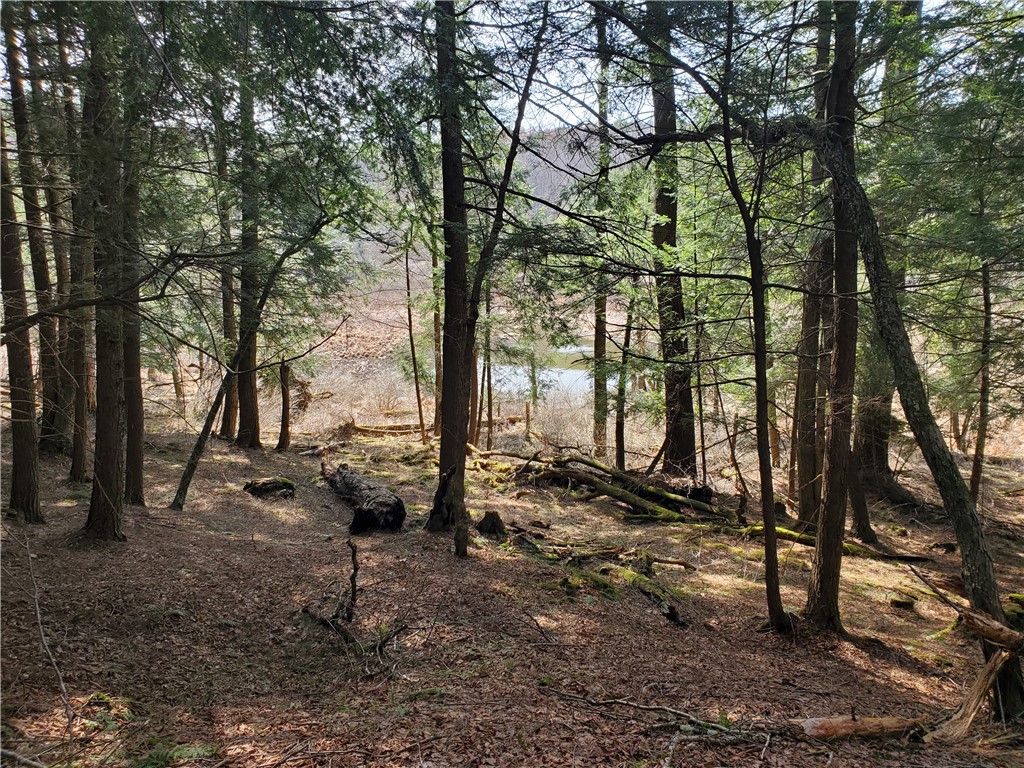 Lot #10 Goddards Road, New Lisbon, New York image 30
