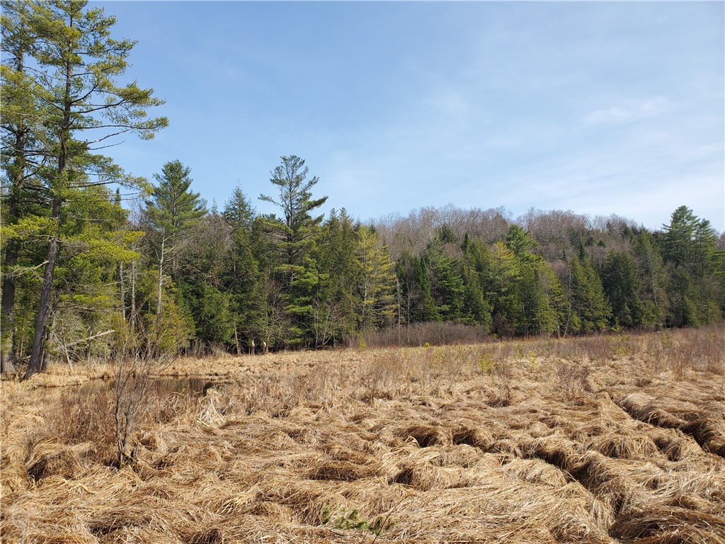 Lot #10 Goddards Road, New Lisbon, New York image 18