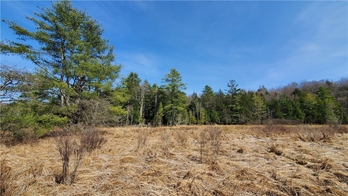 Lot #10 Goddards Road, New Lisbon, New York image 15