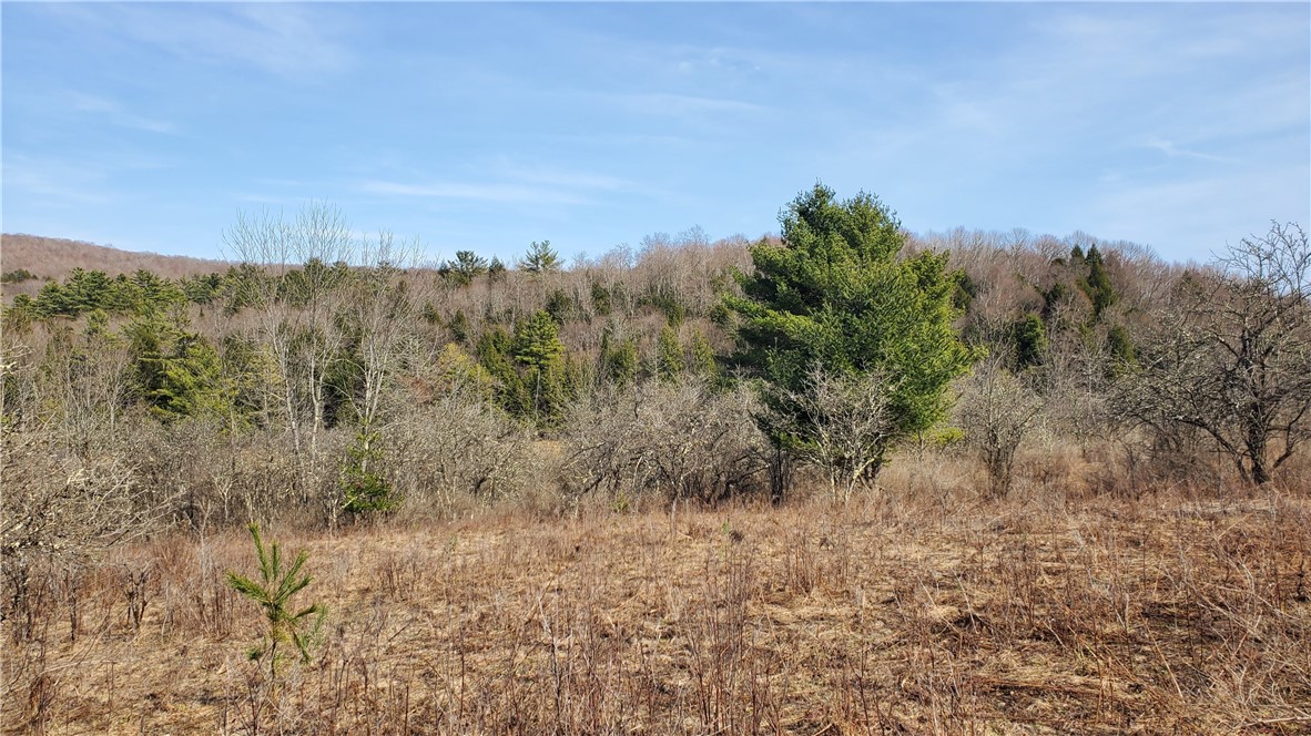 Lot #10 Goddards Road, New Lisbon, New York image 8