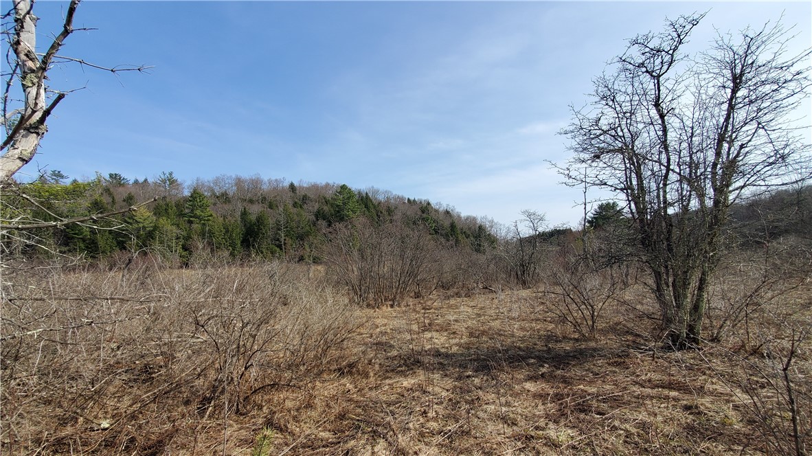 Lot #10 Goddards Road, New Lisbon, New York image 13