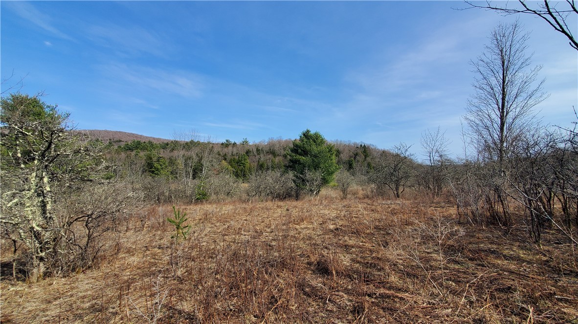 Lot #10 Goddards Road, New Lisbon, New York image 11