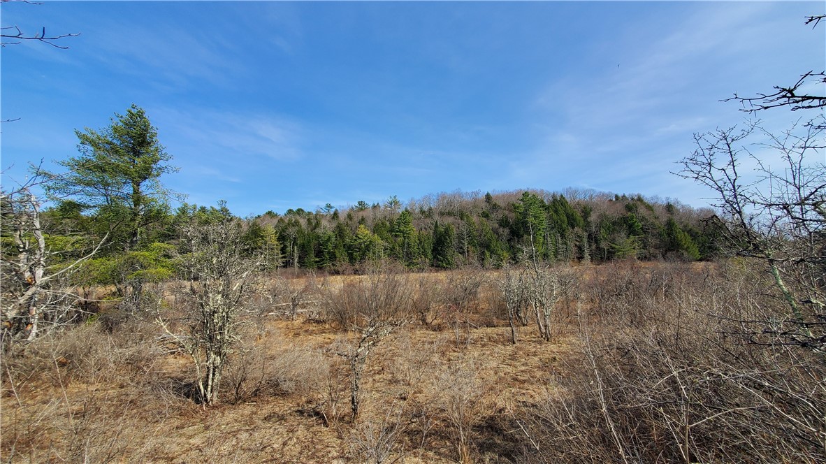 Lot #10 Goddards Road, New Lisbon, New York image 12