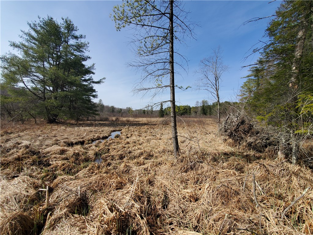 Lot #10 Goddards Road, New Lisbon, New York image 25