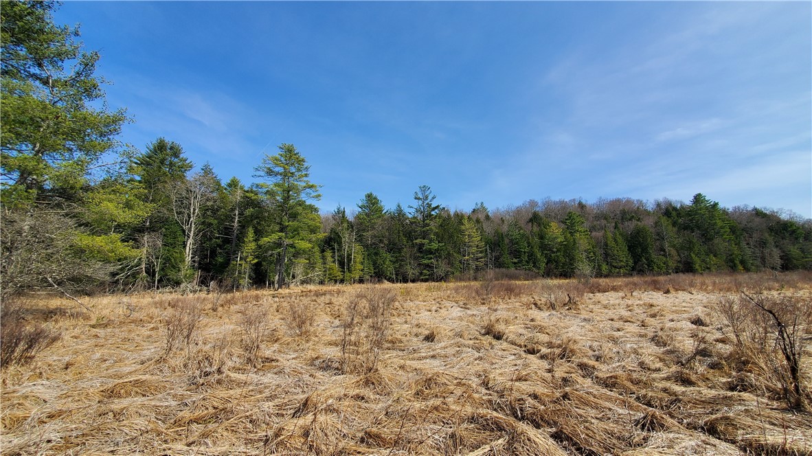 Lot #10 Goddards Road, New Lisbon, New York image 16