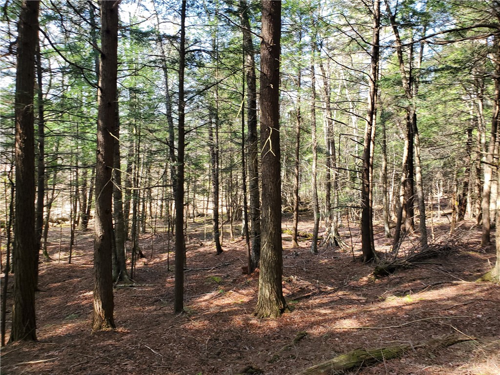 Lot #10 Goddards Road, New Lisbon, New York image 29