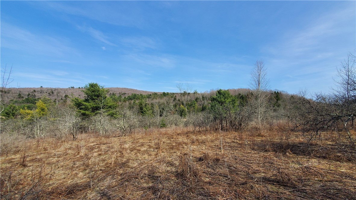 Lot #10 Goddards Road, New Lisbon, New York image 6
