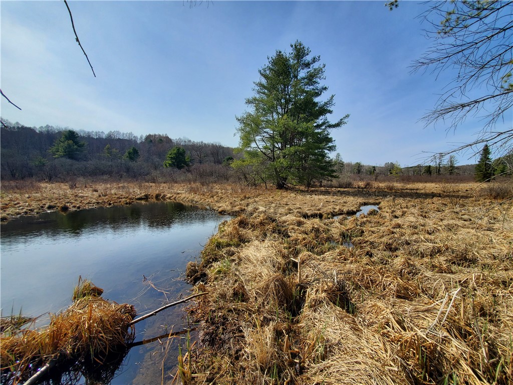 Lot #10 Goddards Road, New Lisbon, New York image 26