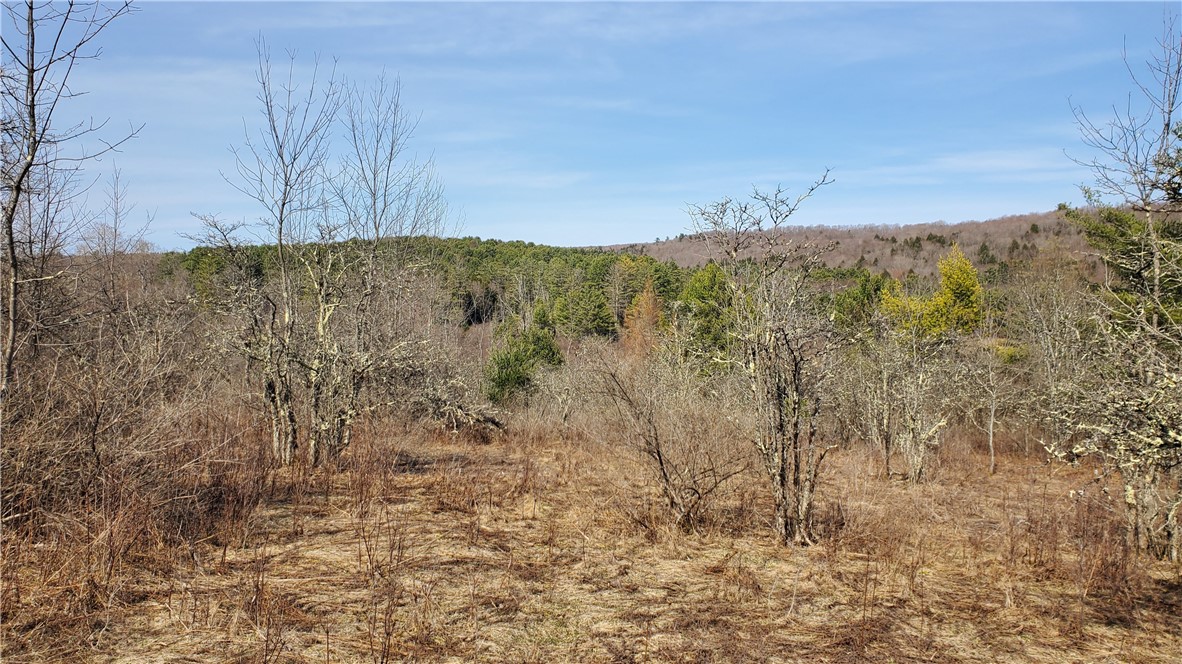 Lot #10 Goddards Road, New Lisbon, New York image 9
