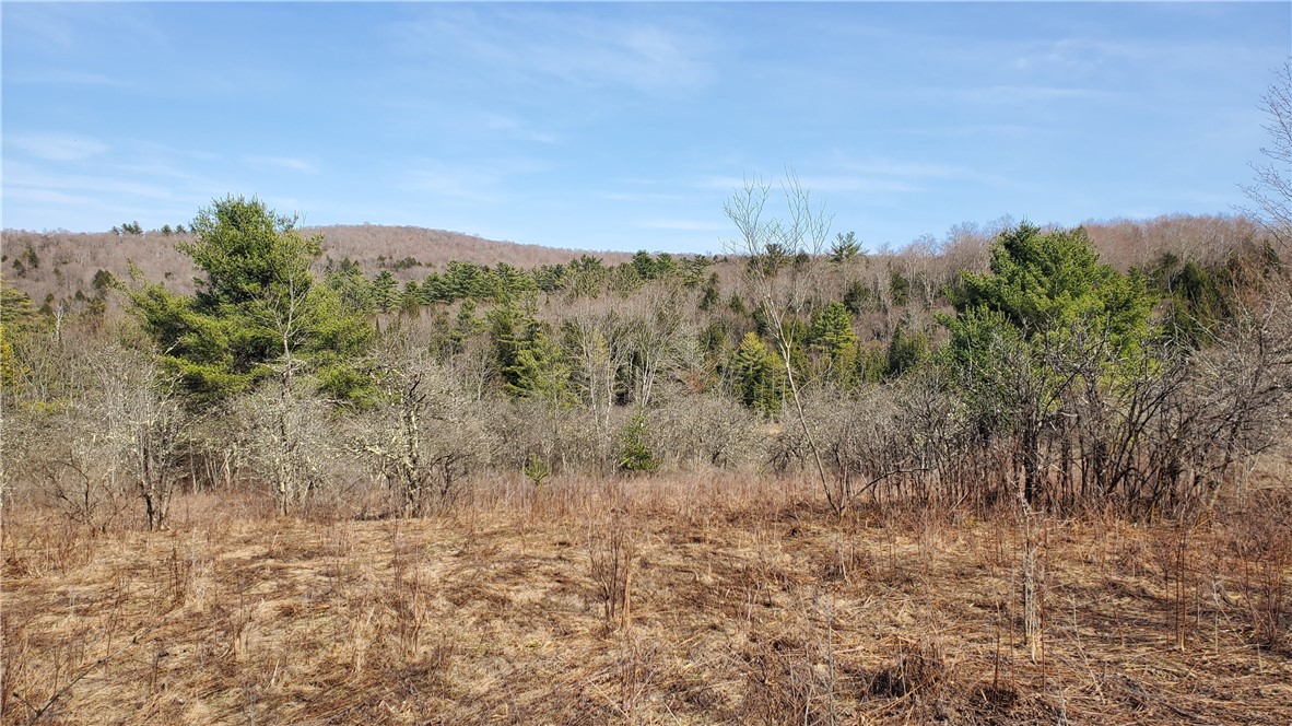Lot #10 Goddards Road, New Lisbon, New York image 7