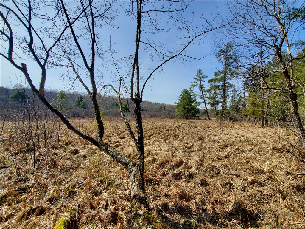Lot #10 Goddards Road, New Lisbon, New York image 28