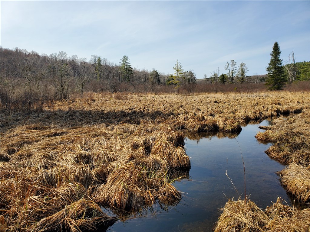 Lot #10 Goddards Road, New Lisbon, New York image 20