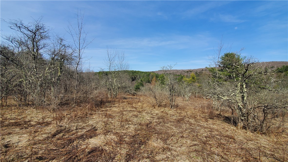 Lot #10 Goddards Road, New Lisbon, New York image 10