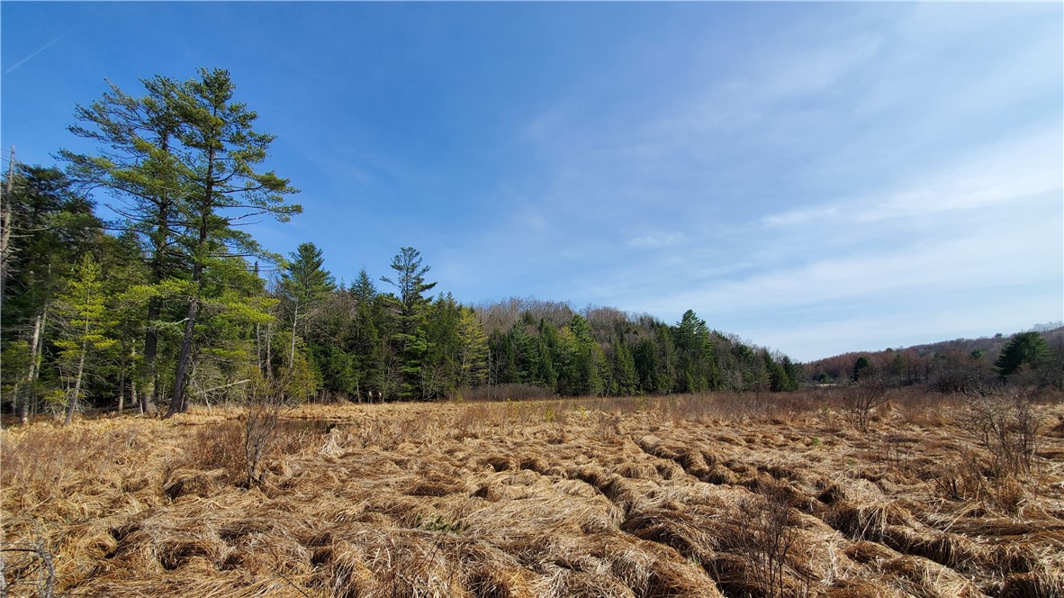 Lot #10 Goddards Road, New Lisbon, New York image 17