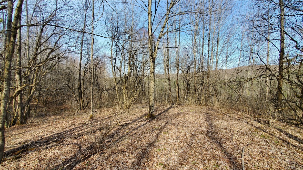 Lot #10 Goddards Road, New Lisbon, New York image 5