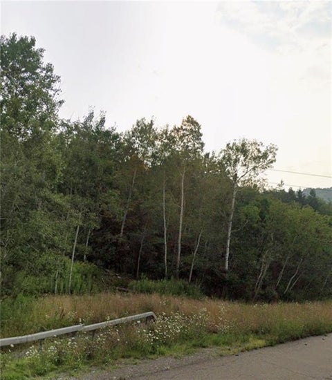 Photo for East