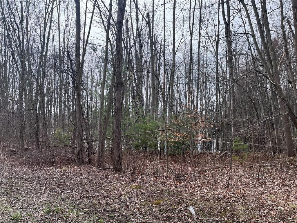 0 Packwood Road
