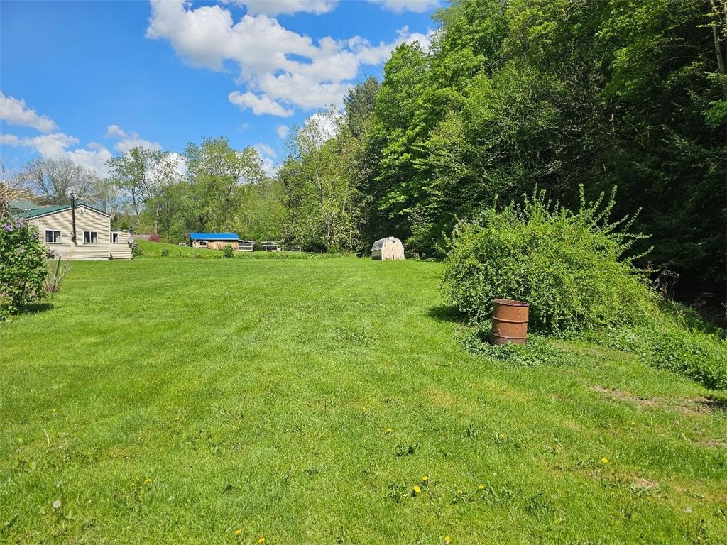 4636 Kirkwood Road, Cohocton, New York image 3