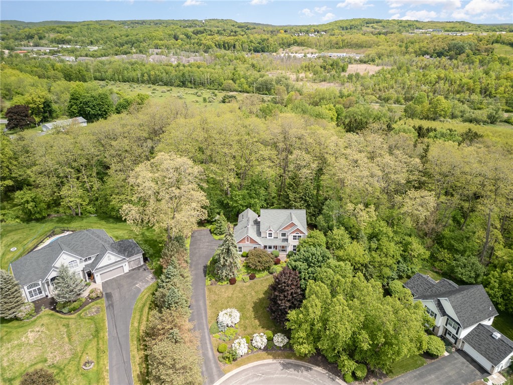 7309 Silver Hill Path Path, Victor, New York image 38
