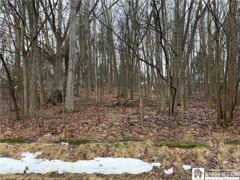 Vacant Land For Sale - Willard Street<br/> Jamestown, NY 14701