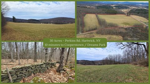 Photo of 0 Perkins Road, Cooperstown, NY 13348 (MLS # R1597999) Photo of 0 Perkins Road, Cooperstown, NY 13348 (MLS # R1597999)