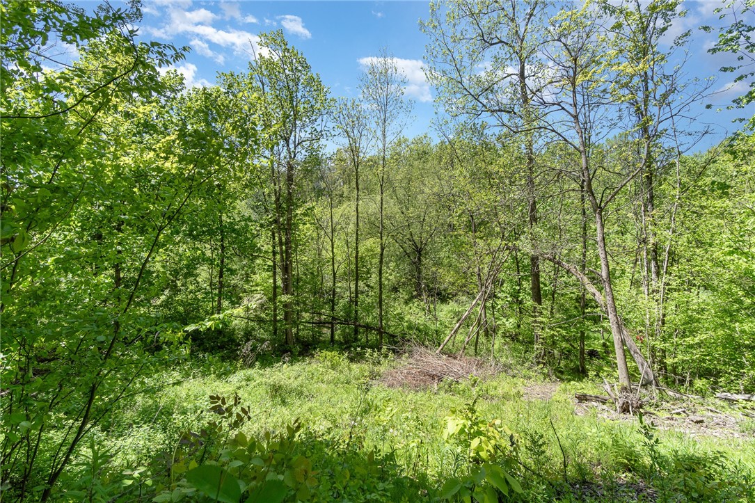 6277 E Port Bay Road, Wolcott, New York image 15