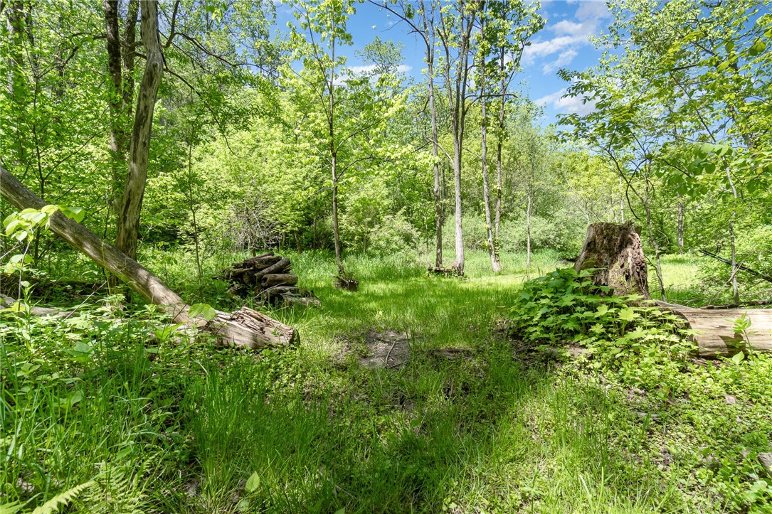 6277 E Port Bay Road, Wolcott, New York image 7