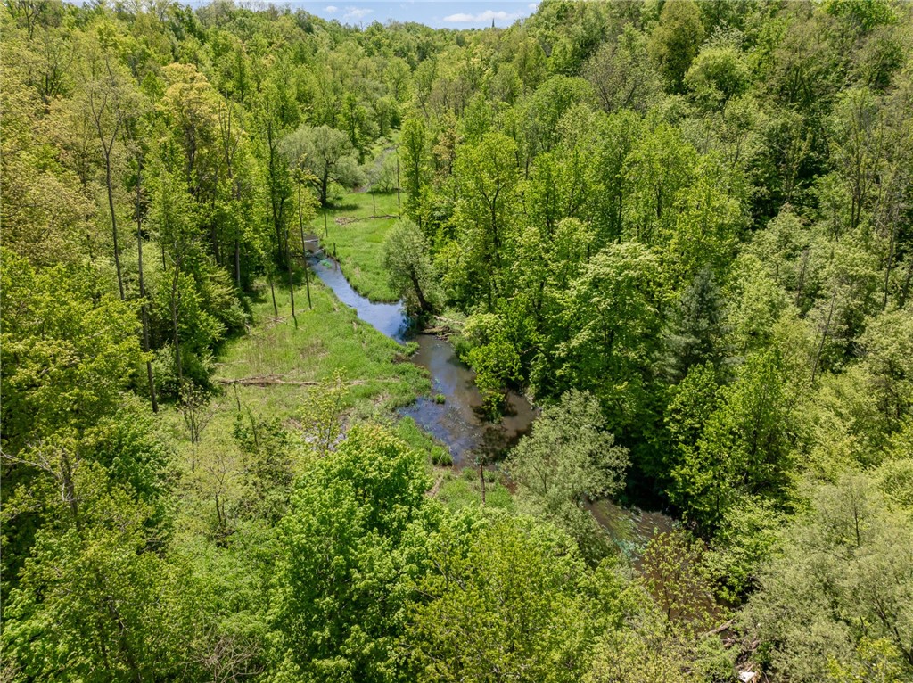 6277 E Port Bay Road, Wolcott, New York image 19