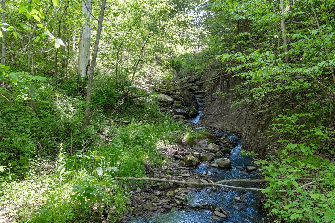 6277 E Port Bay Road, Wolcott, New York image 3
