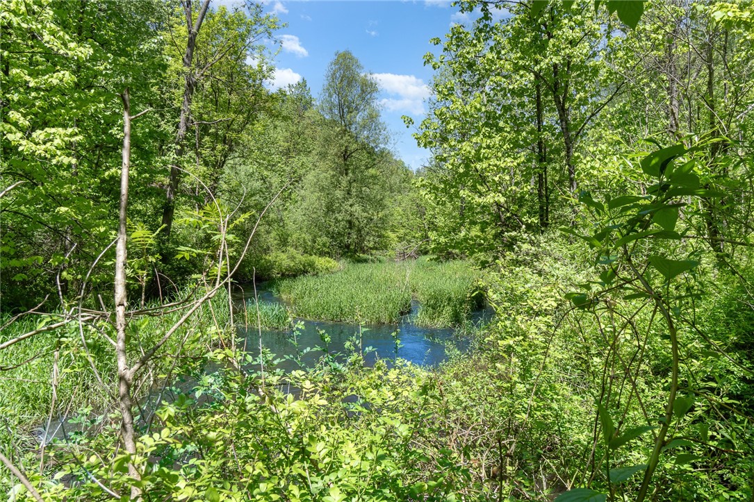 6277 E Port Bay Road, Wolcott, New York image 10