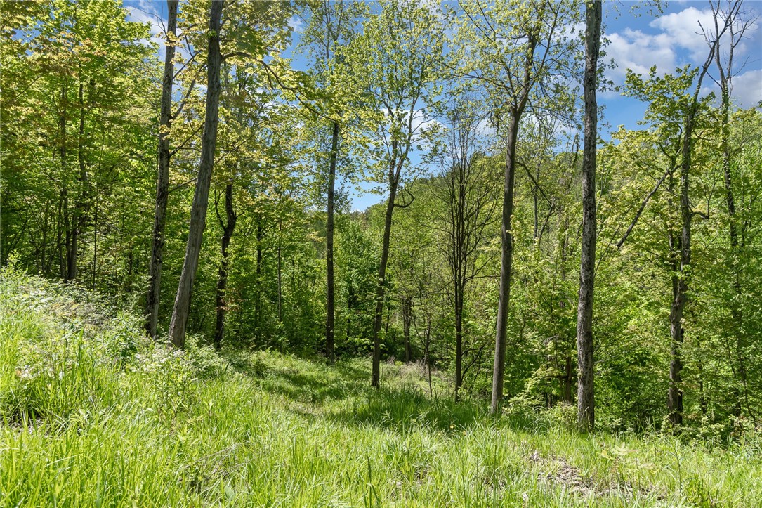 6277 E Port Bay Road, Wolcott, New York image 4