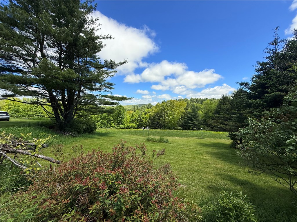2113 Prosser Hollow Road, Davenport, New York image 12