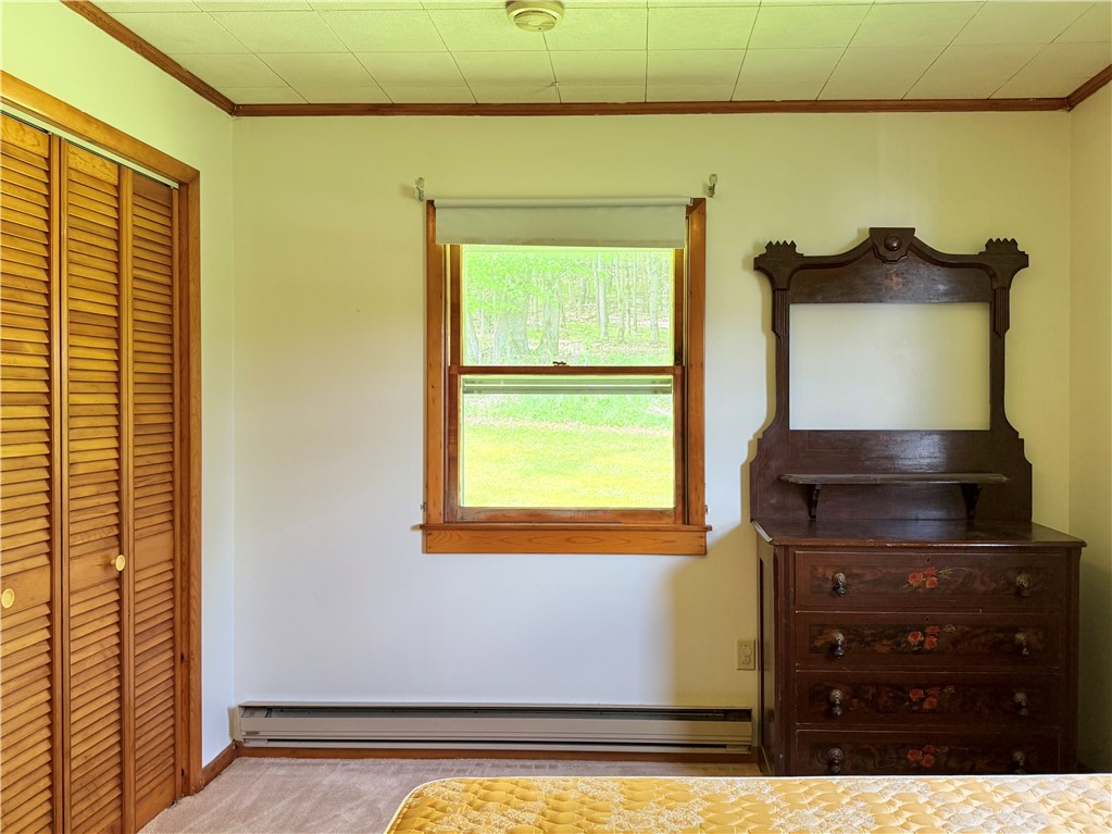 2113 Prosser Hollow Road, Davenport, New York image 28