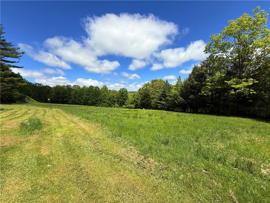 2113 Prosser Hollow Road, Davenport, New York image 10