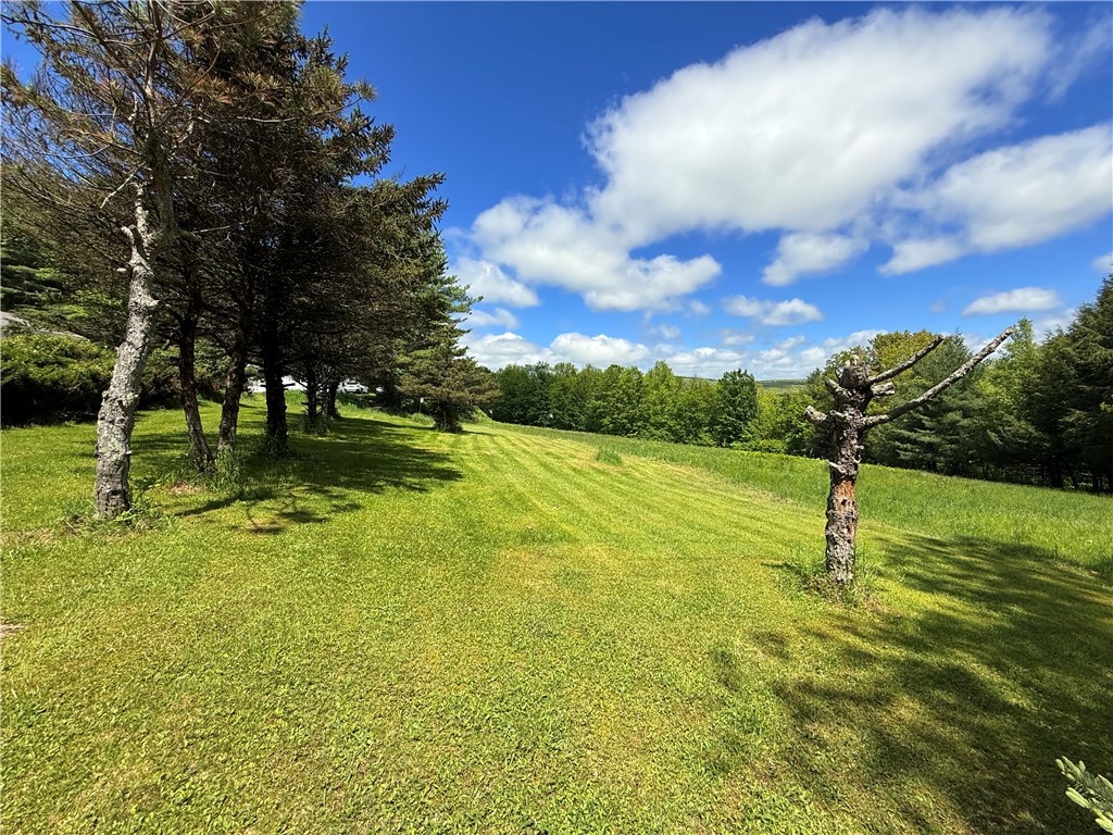 2113 Prosser Hollow Road, Davenport, New York image 9