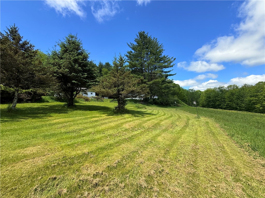 2113 Prosser Hollow Road, Davenport, New York image 11